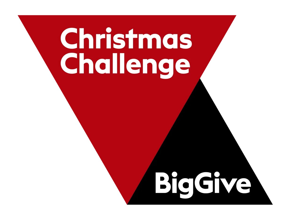 Big Give Christmas Challenge logo